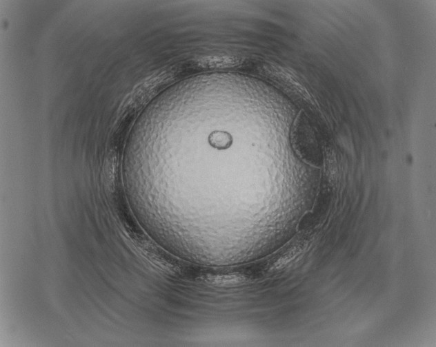 X0000071830645200607211803