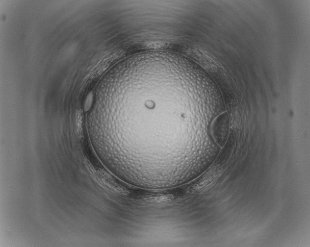 X0000071830646200607211803