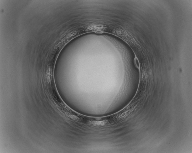 X0000071830647200607211803