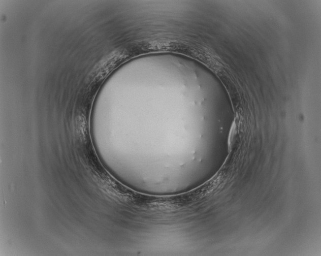 X0000071830648200607211803