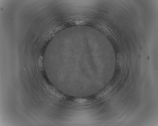 X0000071830650200607211803