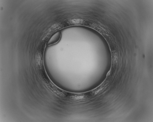 X0000071830651200607211803