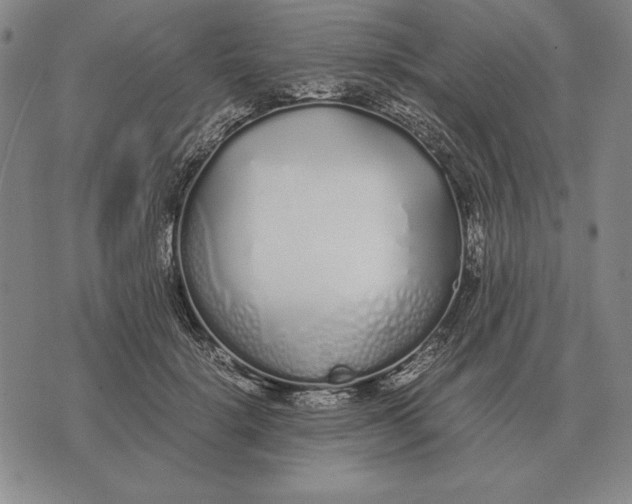 X0000071830652200607211803