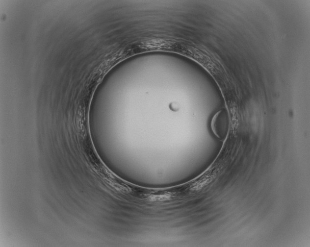 X0000071830653200607211803