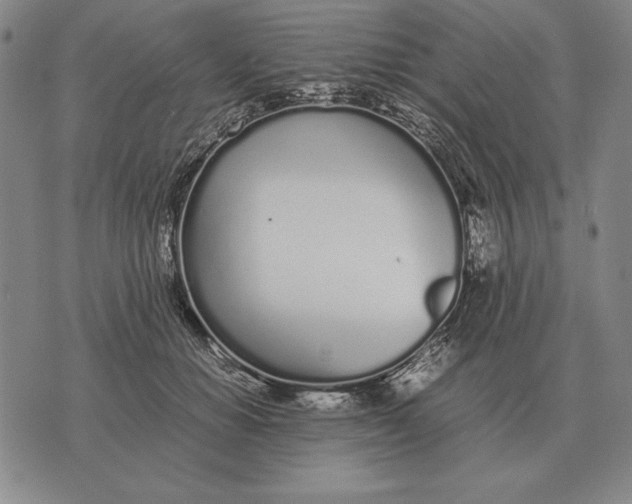 X0000071830654200607211803