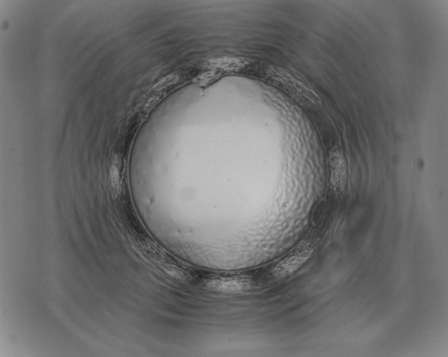 X0000071830655200607211803