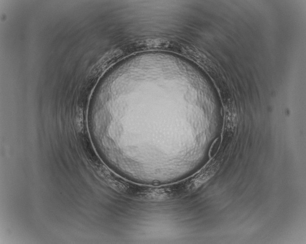 X0000071830656200607211803