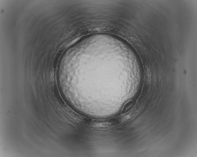 X0000071830657200607211803