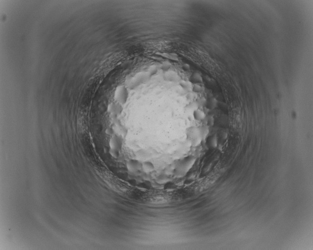 X0000071830658200607211803