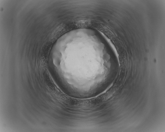 X0000071830659200607211803