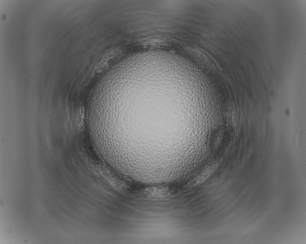 X0000071830660200607211803