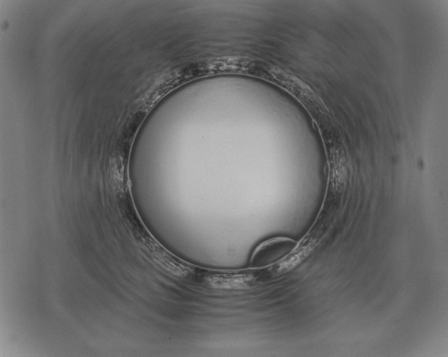 X0000071830661200607211803