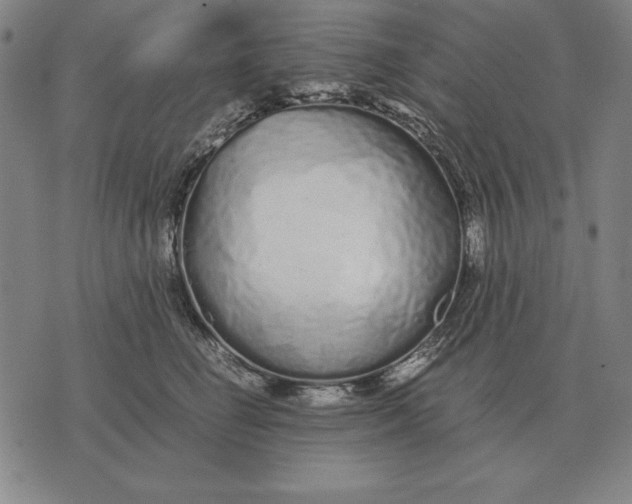 X0000071830662200607211803