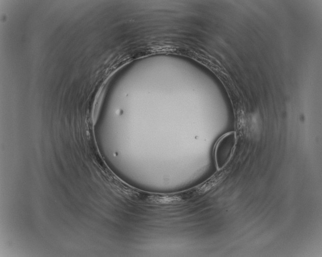 X0000071830663200607211803