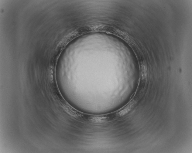 X0000071830664200607211803