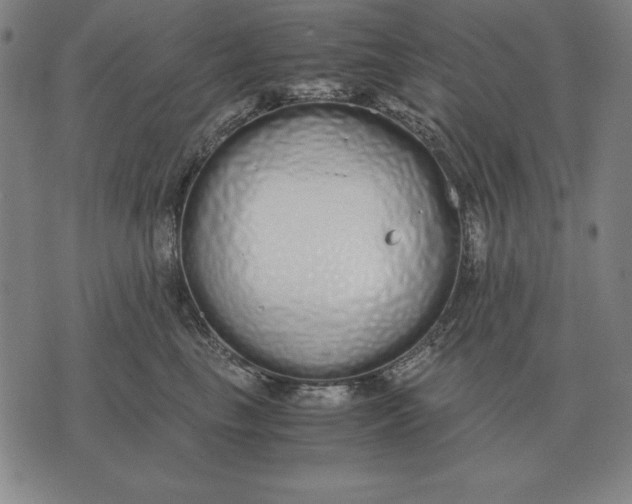 X0000071830665200607211803