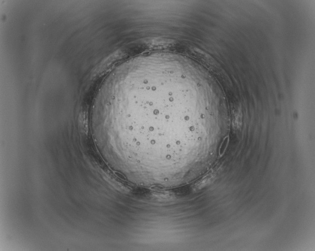 X0000071830666200607211803