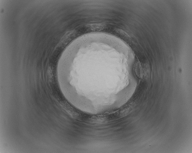 X0000071830667200607211803