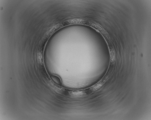 X0000071830669200607211803