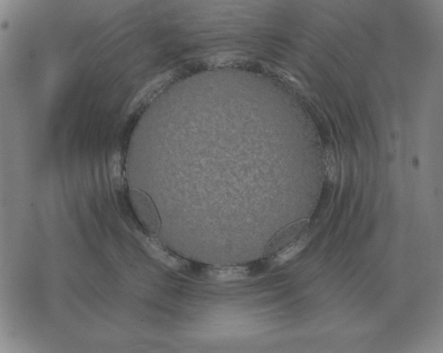 X0000071830670200607211803