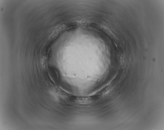 X0000071830671200607211803