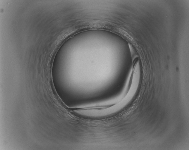 X0000071830673200607211802