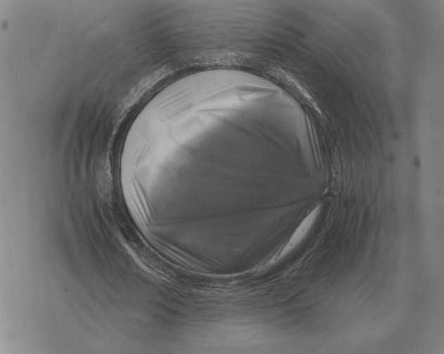 X0000071830674200607211802