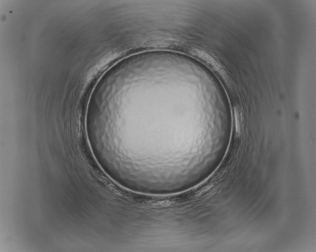 X0000071830675200607211802