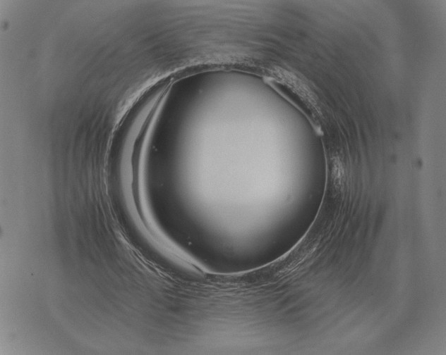 X0000071830676200607211802