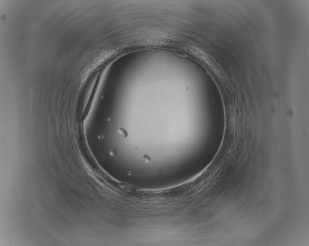 X0000071830677200607211802