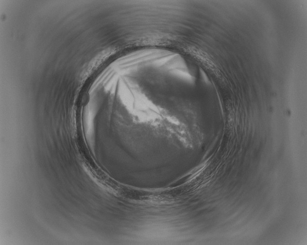 X0000071830678200607211802