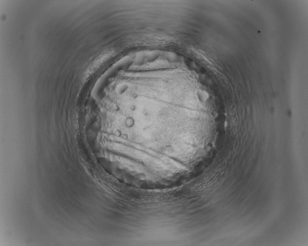 X0000071830679200607211802