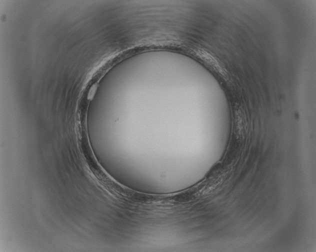 X0000071830680200607211802