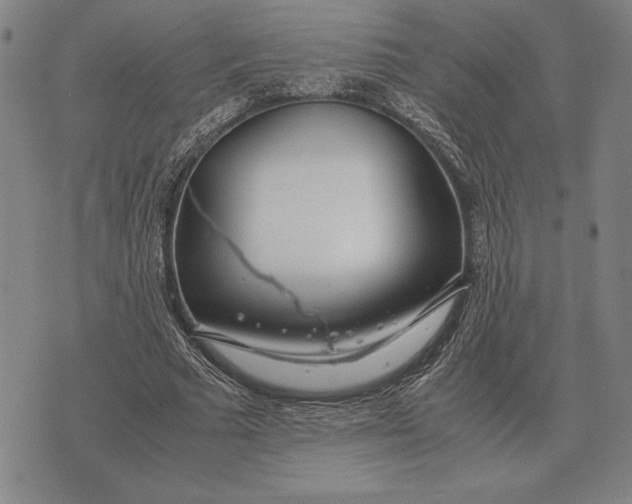 X0000071830681200607211802