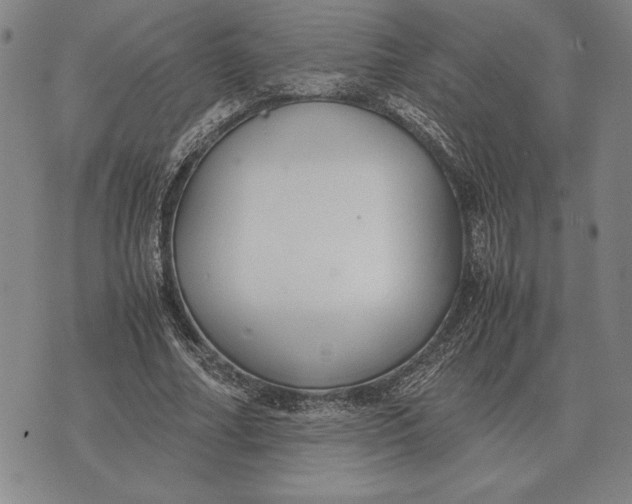 X0000071830682200607211802