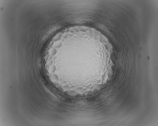 X0000071830683200607211802