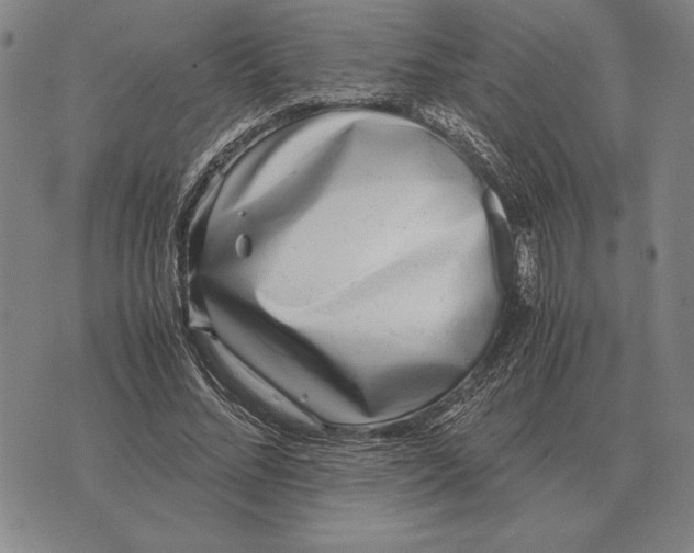 X0000071830684200607211802