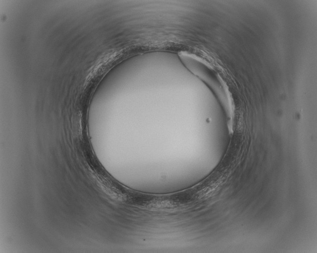 X0000071830685200607211802