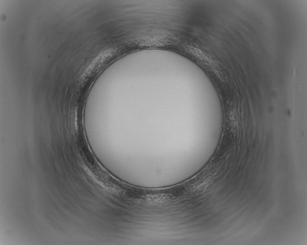 X0000071830686200607211802