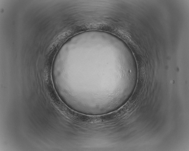 X0000071830687200607211802