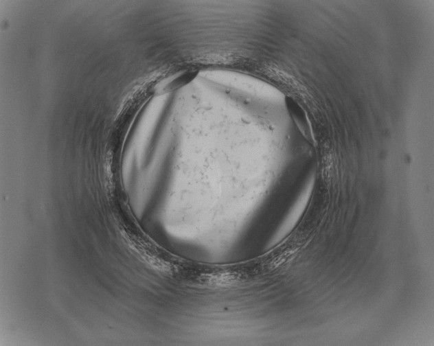 X0000071830688200607211802