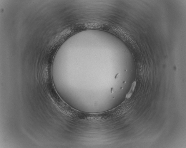 X0000071830690200607211802