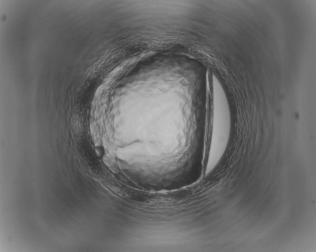 X0000071830691200607211802