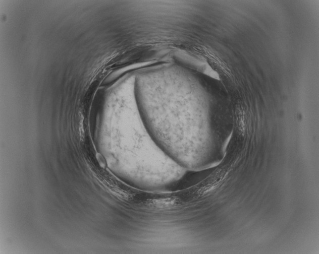 X0000071830692200607211802