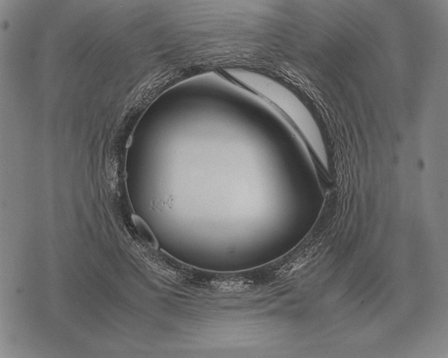 X0000071830693200607211802