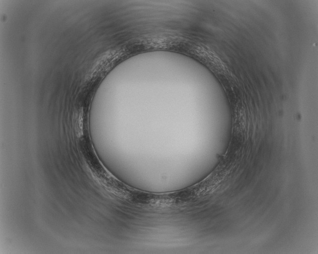 X0000071830694200607211802