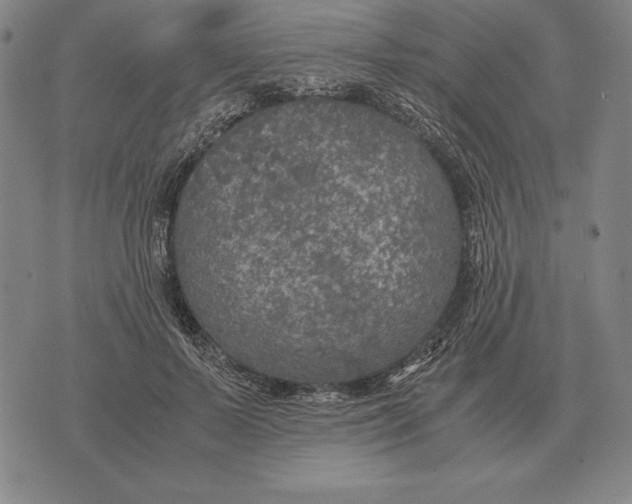 X0000071830695200607211802