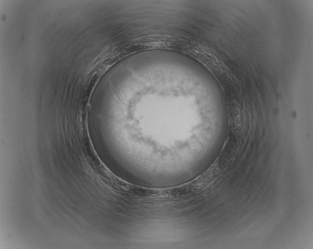 X0000071830696200607211802