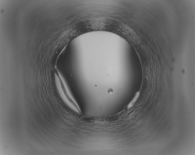 X0000071830697200607211802