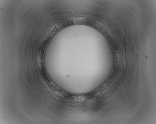 X0000071830698200607211802